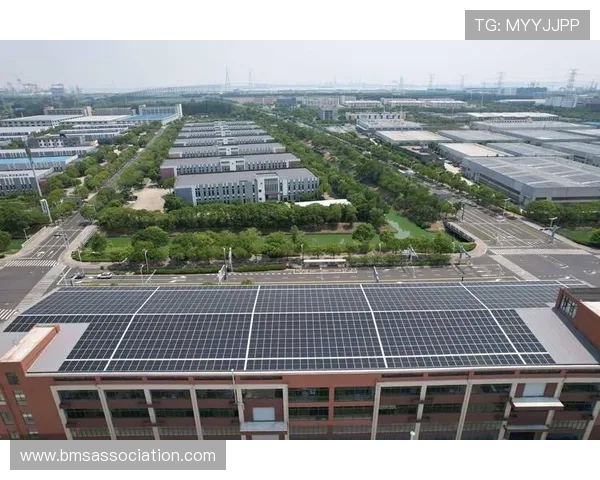 摩斯国际：引领全球金融创新的新标杆